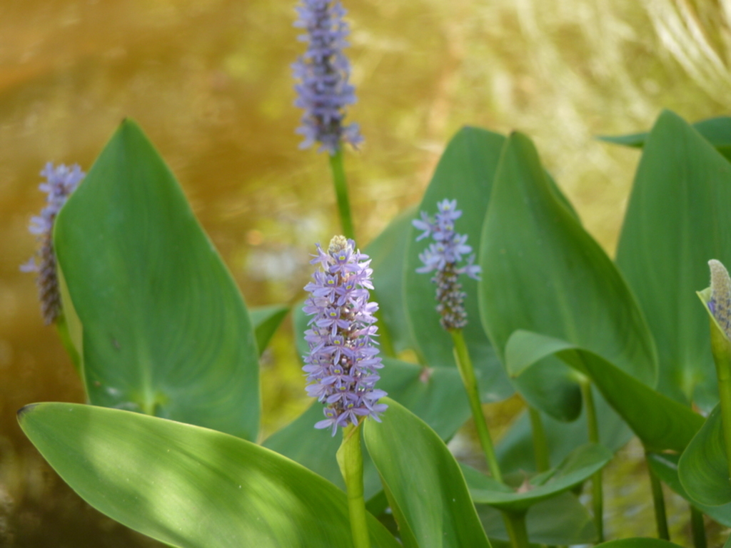 No s'ha trobat l'arxiu
